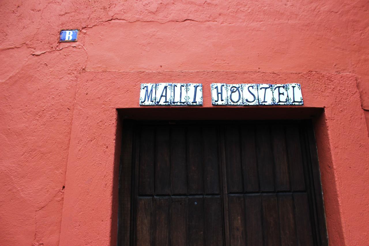 Malli Hostel Cuernavaca Exterior foto